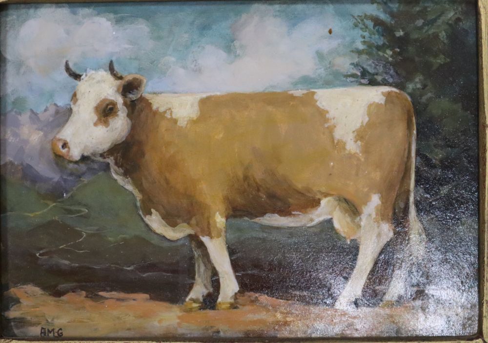 Andrea Mosimann-Grass, two oils on board, Studies of cows, initialled, 15 x 20cm